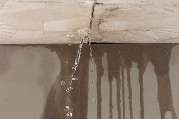 Professional Commercial Water Damage Restoration technician working in Tarpley, TX